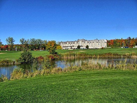 Golf de la Faune